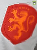 Equipaci??n Holanda 22-23, Visitante Mundial 2022 , Nio